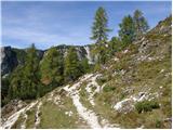 Stara Fužina - Planina Jezerce